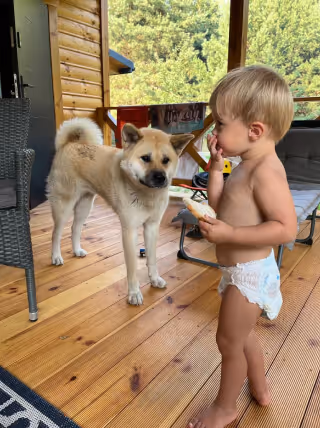 Zabawa z psem na tarasie - Domek Chańcza