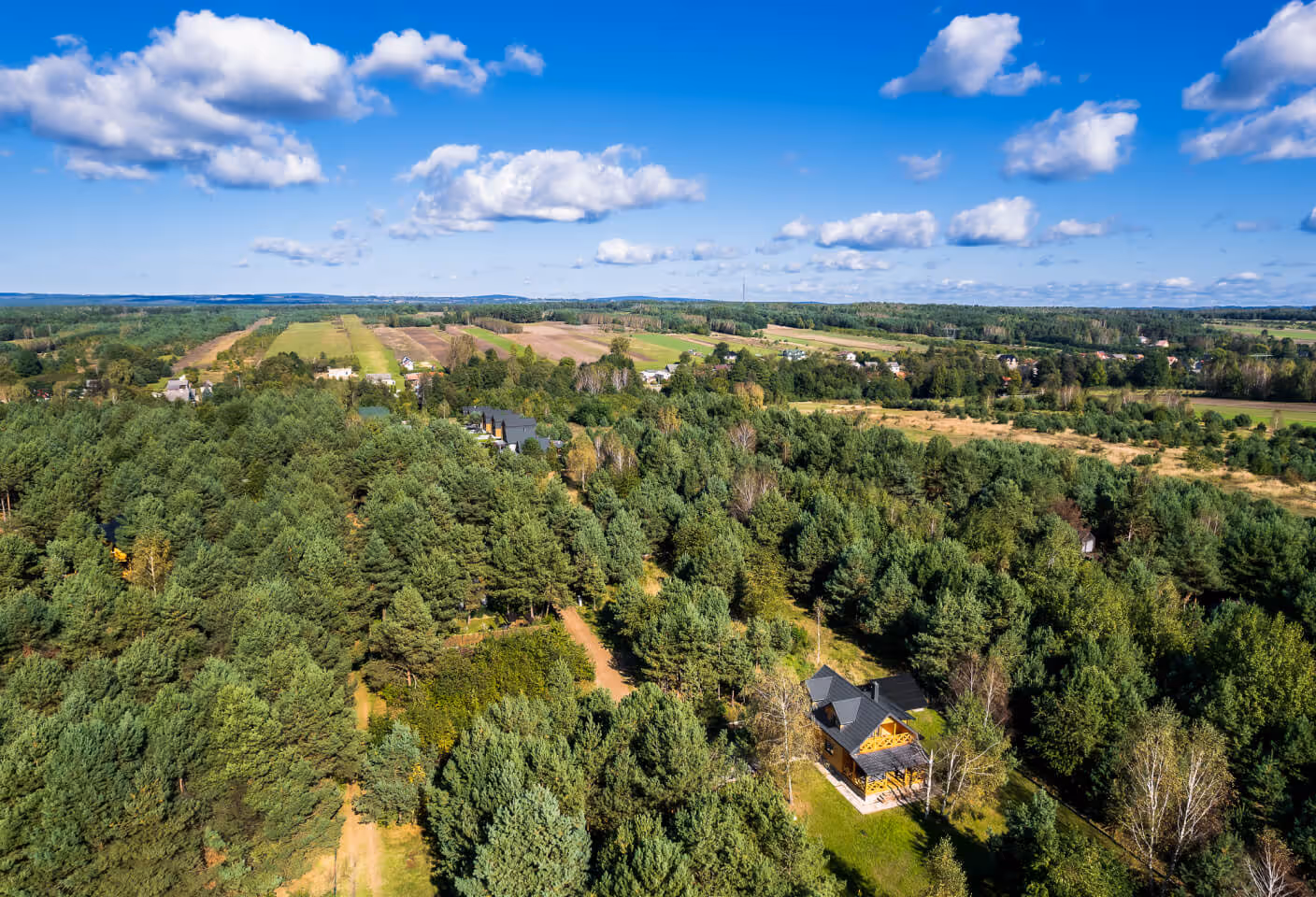Domek całoroczny Chańcza - Widok z drona na otaczający las.